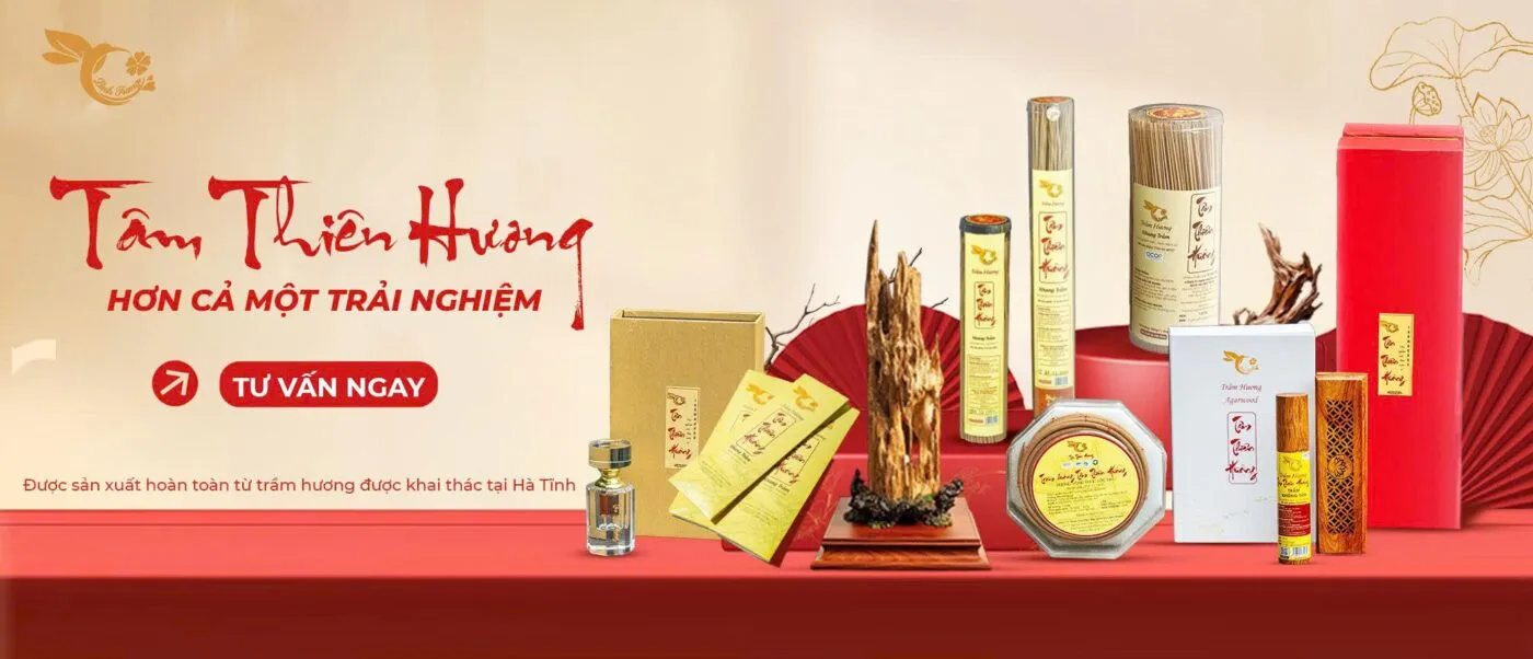 Công ty TNHH Thương mại dịch vụ Linh Trang