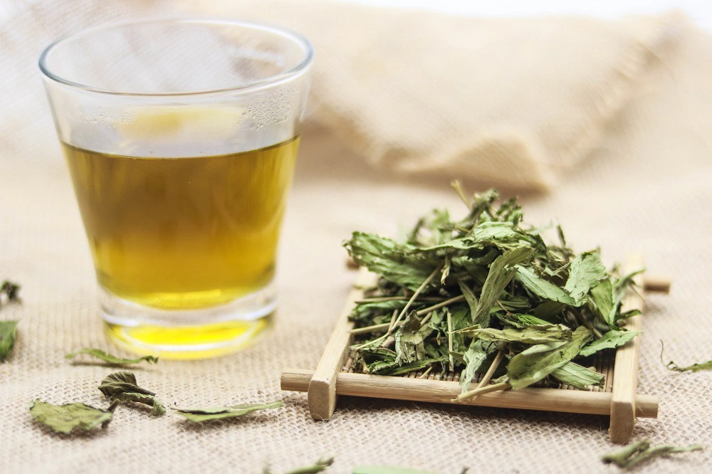 Lá cỏ ngọt