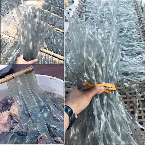 Miến dong sợi to